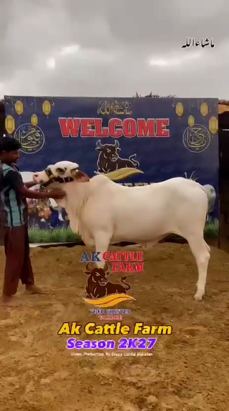 Farm life video preview