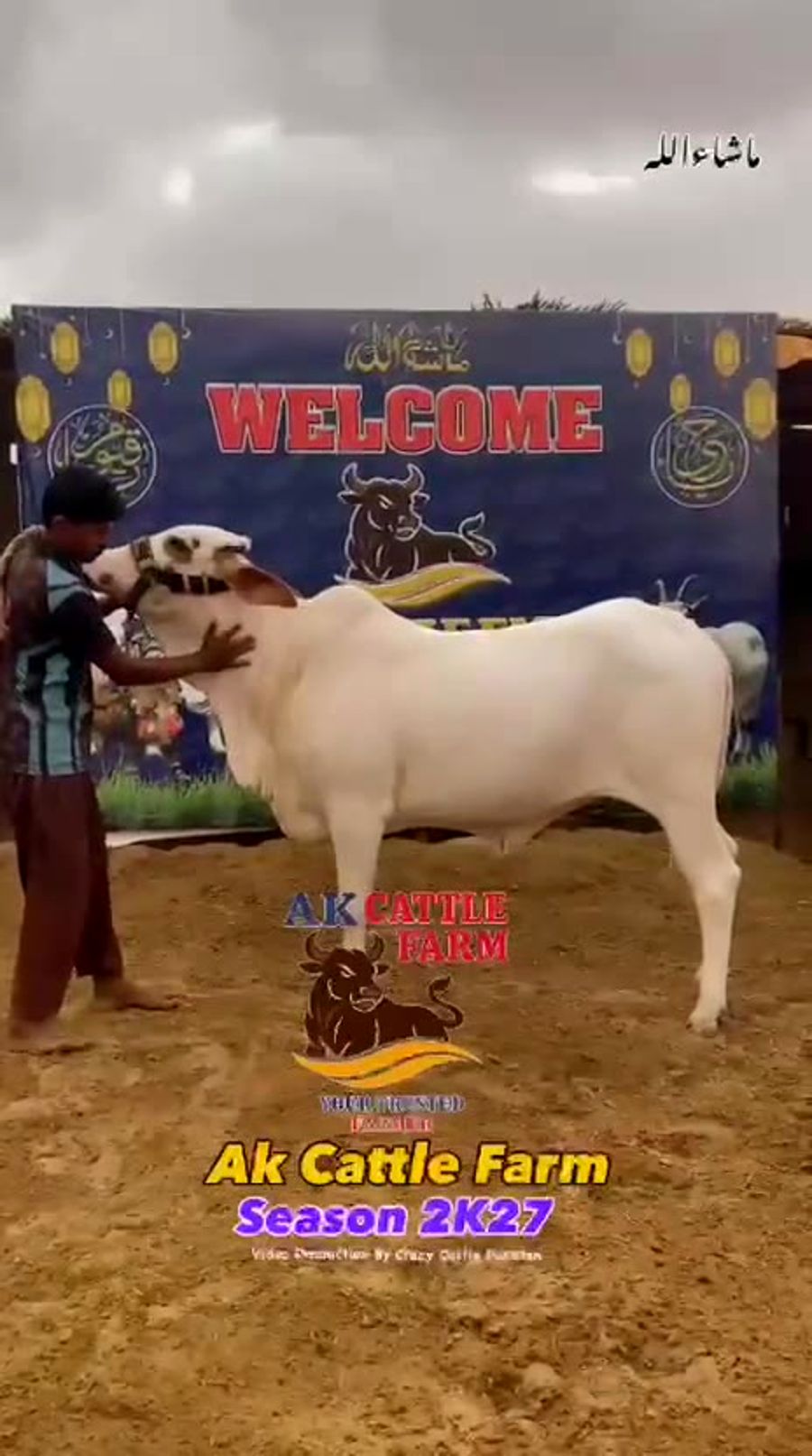 Farm highlights video preview